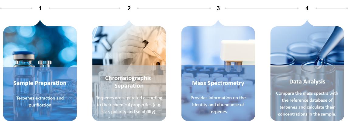 Evolution of the THCA, CBDA, and CBGA content in leaves and flowers during the growth of plants from chemotypes I, II, and III
