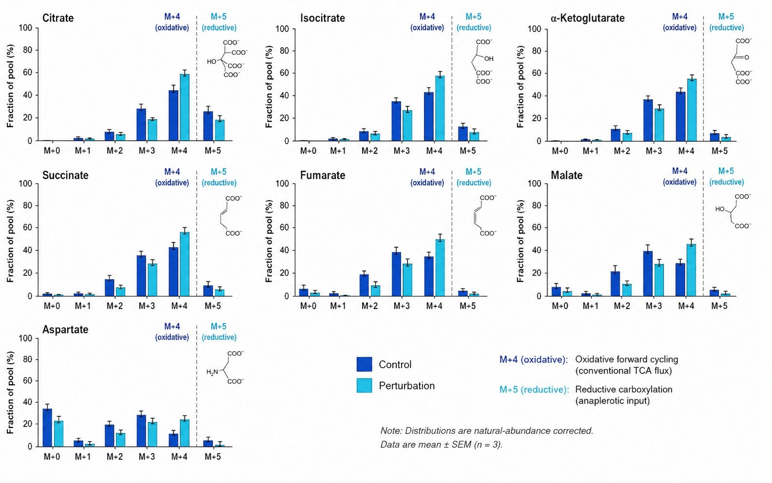 TCA cycle mass isotopologue distribution bar plot with M+4 vs M+5 split