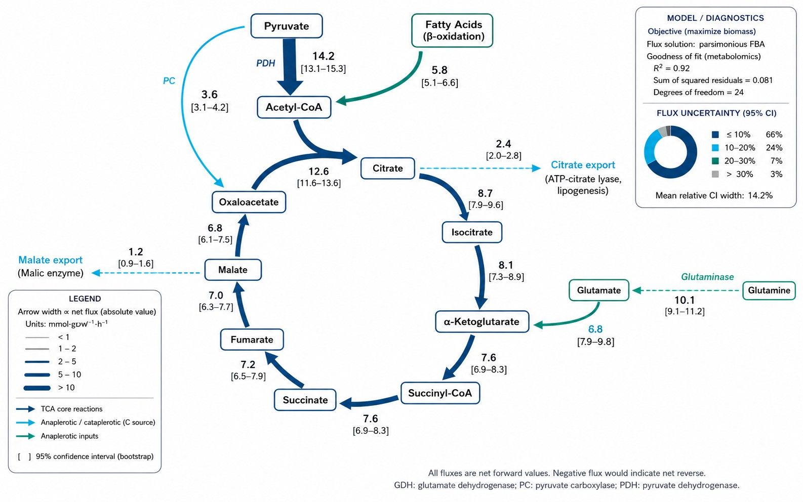 Quantitative in vivo TCA cycle metabolic flux map with confidence intervals