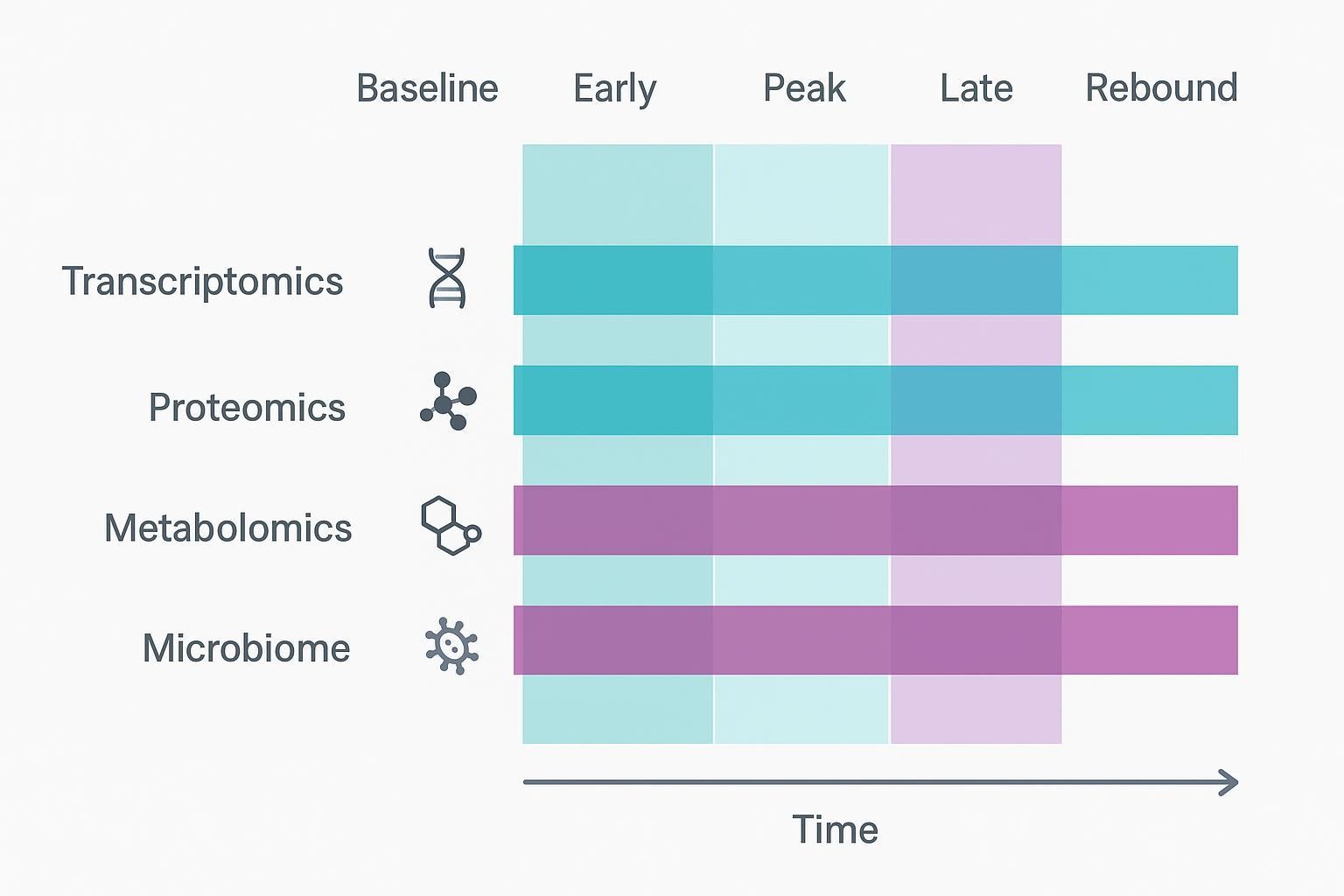 Layered timeline showing relative lags of transcriptomics, proteomics, metabolomics, and microbiome with sampling windows