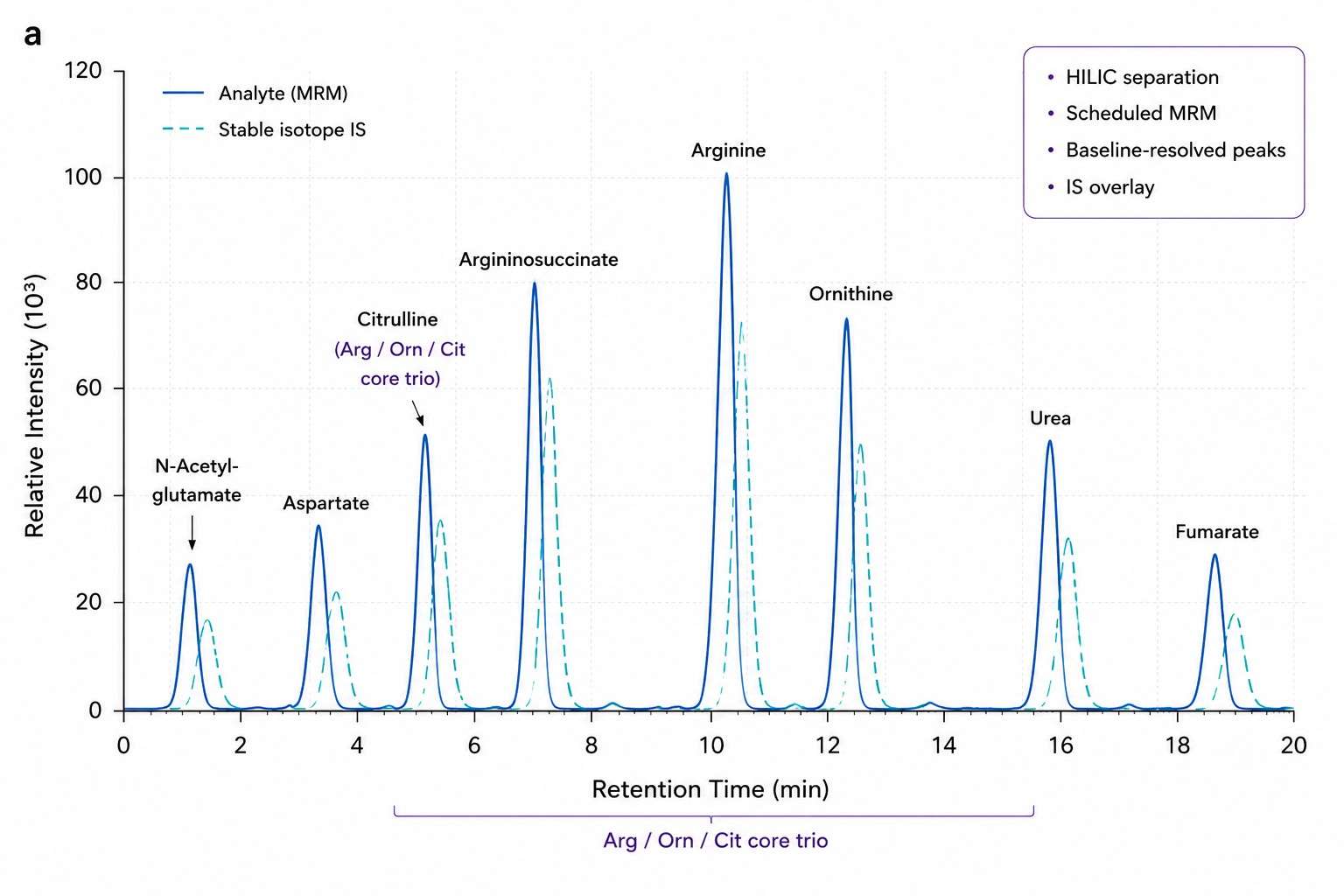 Urea Cycle HILIC MRM Chromatogram — Arginine Ornithine Citrulline Argininosuccinate Peak Separation
