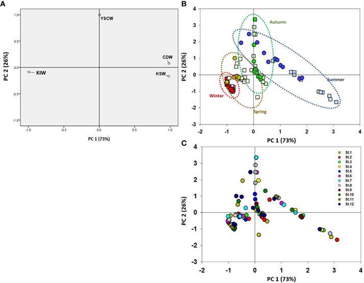 Principal component analysis of (A) the ratio of four water masses (CDW, YSCW, KSW, and KIW) across (B) seasons (red: winter; yellow: spring; blue: summer; and green: autumn) and depths (squares = surface and circles = water column) and (C) sampling stations