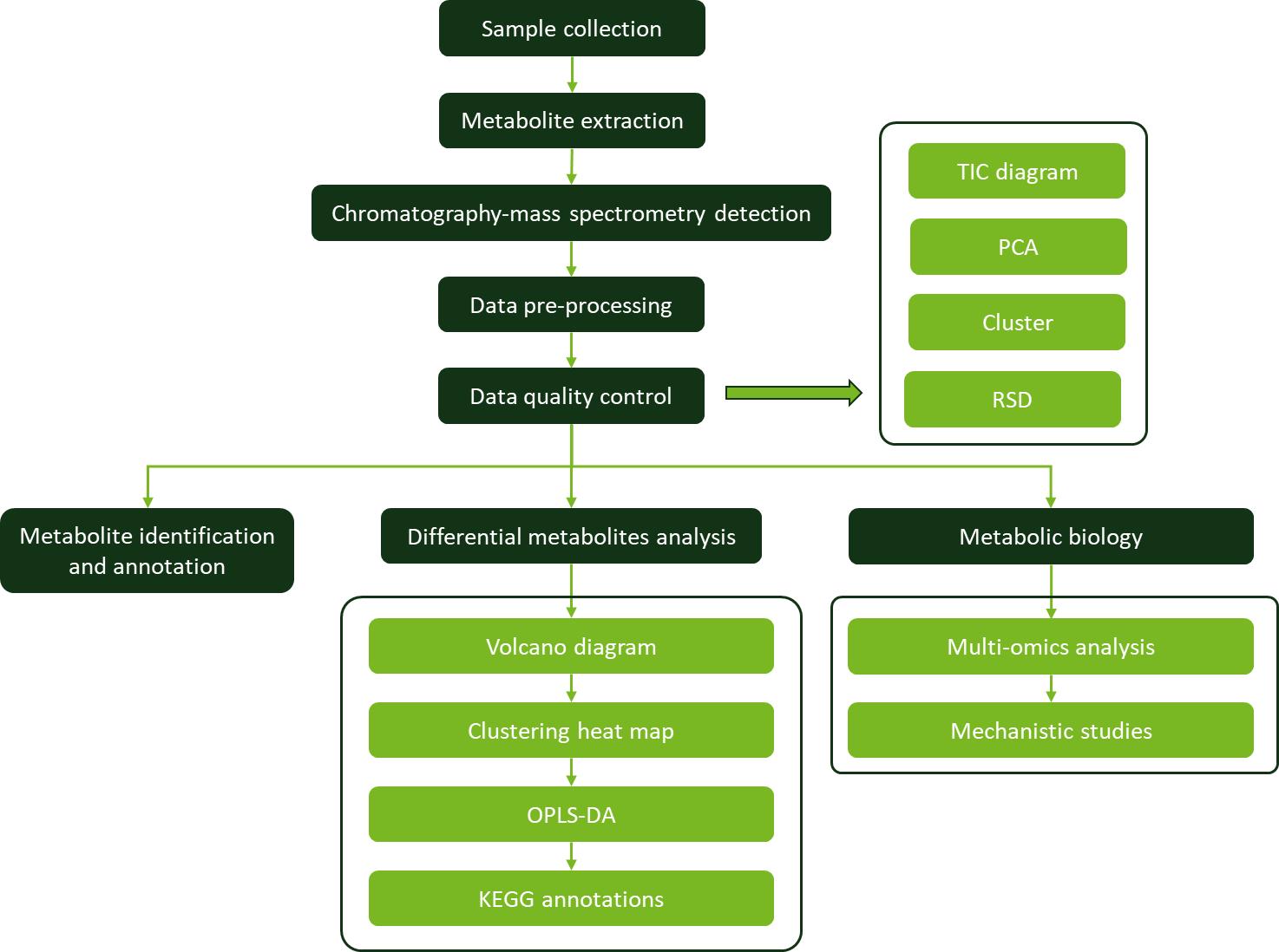 Workflow for Capsanthin Analysis Service