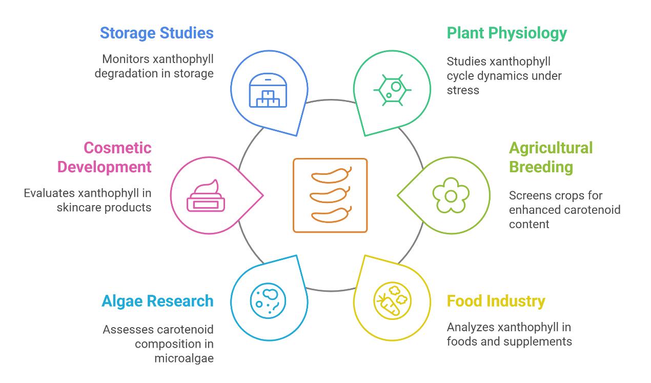 Workflow for Capsanthin Analysis Service